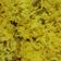 Cooksnap dari itad untuk resep Nasi Kuning Pulen