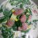 Cooksnap dari Amirah Abdul Aziz untuk resep Bobor bayam