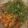 Davda Bhavana's cooksnap of when they made કોબી નું શાક.