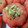 El cooksnap de Merche cuando hizo Tomate relleno de tartar de atún y aguacate.