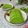 Cooksnap dari Nindaummuzia untuk resep Puding Lumut Sawi