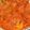 El cooksnap de Toñi t cuando hizo Magro con tomate y verdura.