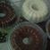 Cooksnap dari Dian untuk resep Puding Mozaik Susu