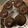 El cooksnap de Sil Sera cuando hizo Muffins de chocolate.