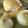 kathy.mccarthyryan's cooksnap of when they made Classic Hollandaise Sauce.