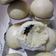 Cooksnap dari Dapoer NNN str5 untuk resep Pao / Buns Simple