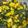 Deepti chabra's cooksnap of when they made Aloo Methi Ki Sabzi.