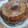El cooksnap de Nicol cuando hizo Roscas caseras 😋🤌🏼.