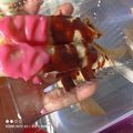 Cooksnap dari Rosyati Ochie untuk resep Banana Roll Crispy