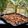 BR's cooksnap of when they made নমক পারা (নিমকি)(Namak para recipe in Bengali).