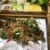 Cooksnap của long chef khi họ làm theo món Cá tai tượng chiên xù