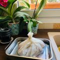 Cooksnap από Vagia στη συνταγή Εύκολο και ελαφρύ κατσικάκι στη λαδόκολλα