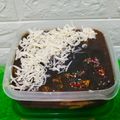 Cooksnap dari wirna untuk resep Cream Cheese Chocolate Dessert Box