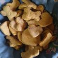 El cooksnap de Laura Sarmiento cuando hizo Galletitas y alfajorcitos muy fáciles sin huevo (dos recetas).