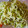 El cooksnap de Ευφροσύνη cuando hizo Pasta en salsa verde.