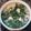 Cooksnap dari Khana untuk resep Bobor Kangkung