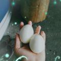 石秀娟 的 快速水煮蛋 cooksnap