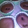 Cooksnap dari Ilda Adriani untuk resep CHOCO Castella CupCake