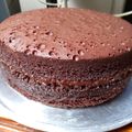 Cooksnap dari Yanti Tan untuk resep Brownies Kukus 2 lapis Ny. Liem