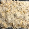 Schwarcz Anita Cooksnap-ja, amikor elkészítette a(z) Aranygaluska receptet.