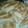 El cooksnap de Alexandra Alvarez cuando hizo Bizcochos (pan con grasa).