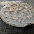 El cooksnap de Gerardo Enrique Faria Villalobos cuando hizo Pie de Limón con Queso Crema.