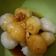 Cooksnap dari Kartika Ratnawati untuk resep Cilok Kampung dan Bumbu Kacang Super Simpel Enak