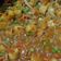 Tulsi Shaherawala's cooksnap of when they made ફણસી નુ મિક્સ શાક (Fansi Mix Shak Recipe In Gujarati).