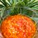Cooksnap dari Novita Widyasari untuk resep [133] Sambal Geprek