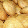 Chhaya Vipul Agarwal का कुकस्नैप जब उन्होंने मिक्स दाल स्टफ्ड बेक्ड बोंडा (mix dal stuffed baked bonda Recipe in Hindi) बनाया था।