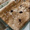 Cooksnap dari Amrah Al-Khonsaa Alkatiri untuk resep Klappertaart Panggang