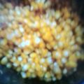 rashmi का कुकस्नैप जब उन्होंने स्वीट कॉर्न चाट (SWEET CORN CHAT RECIPE IN HINDI) बनाया था।