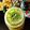 Suchitra S(Radhika S)'s cooksnap of when they made Basil-Sattu Drink.