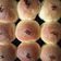 Cooksnap dari Vivi Liem untuk resep Roti Mini