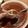 El cooksnap de Jess Ceballos cuando hizo Salsa roja.
