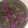 dailycooking's cooksnap of when they made Firstborn's Favorite Crunchy Soy Slaw.