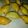 El cooksnap de Winni Reyes cuando hizo Empanadas de Carne.