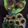Cooksnap dari jevinna untuk resep Pukis Menul (Tanpa Mixer)🧀