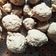 Cooksnap dari Intan untuk resep Bakso Super Kenyal & Berserat
