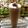 Chandra kamdar का कुकस्नैप जब उन्होंने चॉकलेट मिल्क शेक (chocolate milk shake recipe in Hindi) बनाया था।