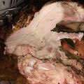 El cooksnap de cordon castro cuando hizo Pavo asado con Mantequilla de hierbas.