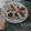 El cooksnap de Vanina Medina cuando hizo Sfijas.