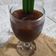 Cooksnap dari Sulis_UmmuSalma untuk resep Es Kopi Pandan Gula Merah