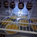 کوک اسنپ Ati Salmi👩‍🍳 بعد از امتحان کردن پودینگ شکلاتی.