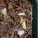 Cooksnap dari Noviq untuk resep 13. Daging Teriyaki (ala Hokben Homemade♥️)
