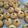 Cooksnap dari Adrient Desiana untuk resep Kue Janda Genit (Monde Cookies)