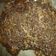 El cooksnap de juana perez cuando hizo Brownies sin horno.