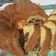 Cooksnap dari Lia Purwani untuk resep Bolu jadul (base cake)