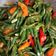 Cooksnap dari Elly Setyo Rini untuk resep Tumis Kacang Panjang Pedas Simple