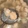 Cooksnap dari nurul hayya hafizhiah untuk resep Bakso Udang